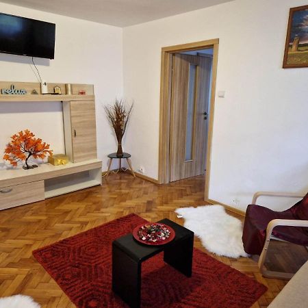 Petuniei Apartment Braşov Dış mekan fotoğraf