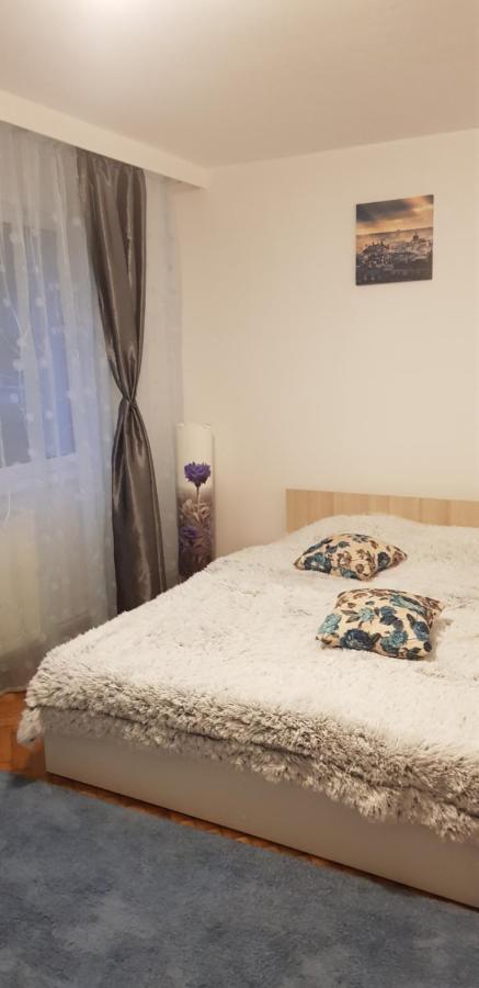 Petuniei Apartment Braşov Dış mekan fotoğraf