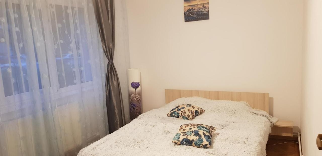 Petuniei Apartment Braşov Dış mekan fotoğraf