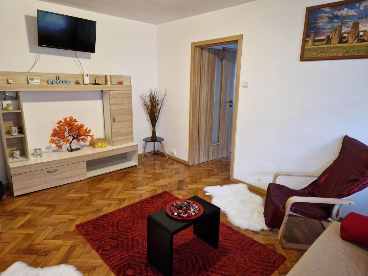 Petuniei Apartment Braşov Dış mekan fotoğraf