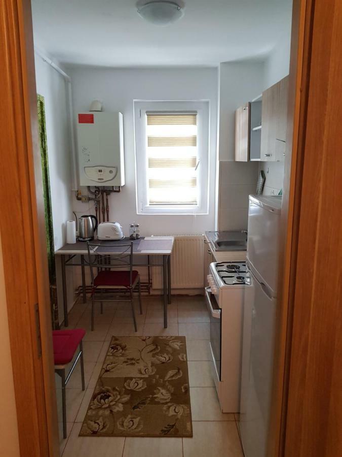 Petuniei Apartment Braşov Dış mekan fotoğraf