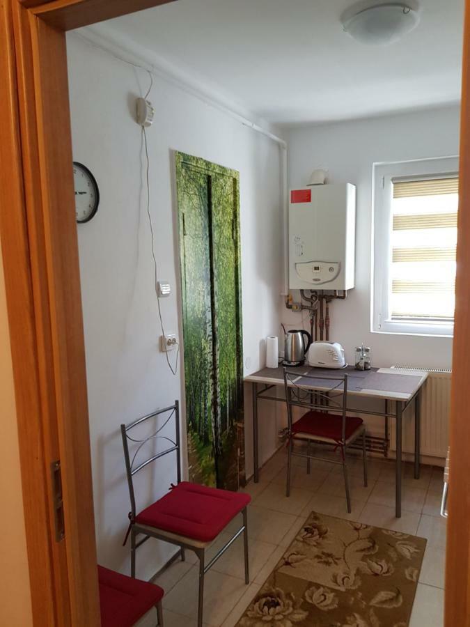 Petuniei Apartment Braşov Dış mekan fotoğraf