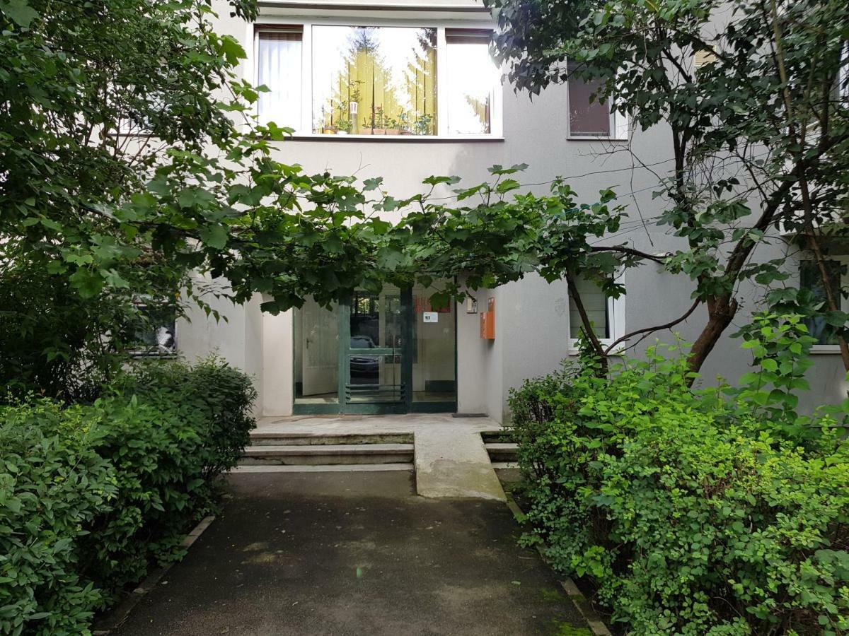 Petuniei Apartment Braşov Dış mekan fotoğraf
