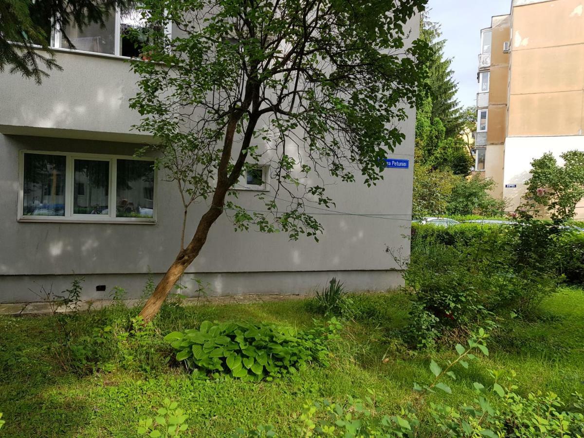 Petuniei Apartment Braşov Dış mekan fotoğraf