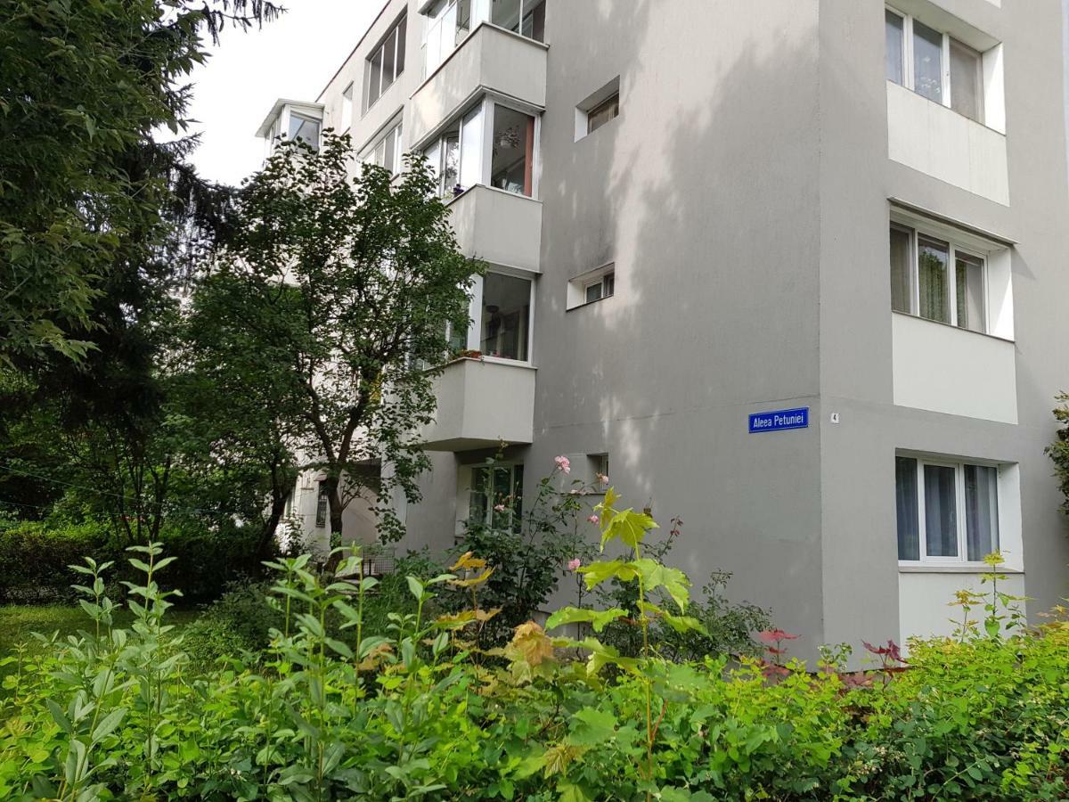 Petuniei Apartment Braşov Dış mekan fotoğraf